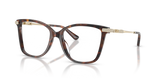 Luggage Tortoise / Demo Lens (4031)