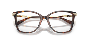 Luggage Tortoise / Demo Lens (4031)