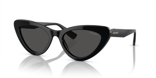 Black / Grey (1AB5S0)