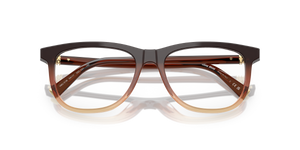 Brown Gradient / Demo Lens (24C1O1)