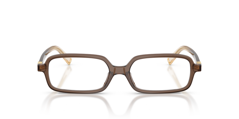 Miu Miu MU 01YV in Brown Transparent - Alternate View