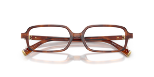 Striped Tobacco / Demo Lens (26E1O1)