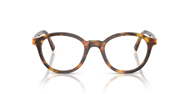 Miu Miu MU 02WVF in Honey Havana - Alternate View
