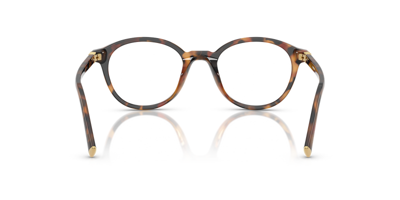 Miu Miu MU 02WVF in Havana Ivy - Alternate View
