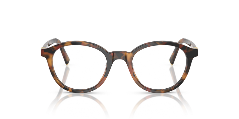 Miu Miu MU 02WVF in Havana Ivy - Alternate View
