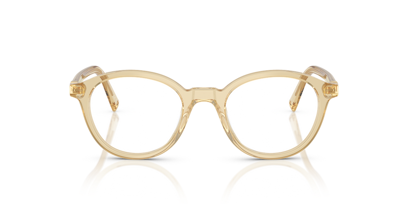 Miu Miu MU 02WV in Transparent Beige - Alternate View