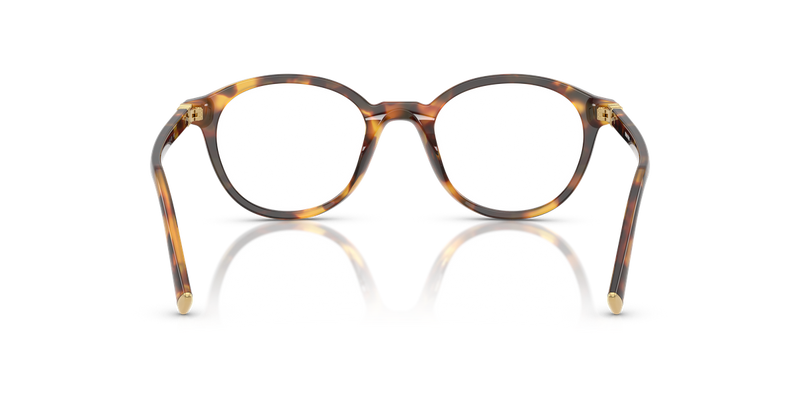 Miu Miu MU 02WV in Honey Havana - Alternate View