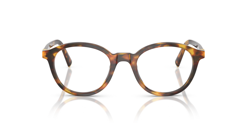 Miu Miu MU 02WV in Honey Havana - Alternate View