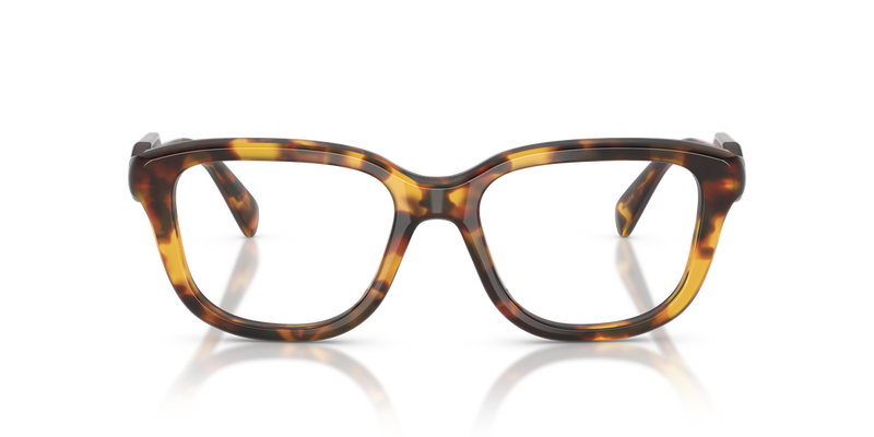 Miu Miu MU 02ZV in Honey Havana - Alternate View