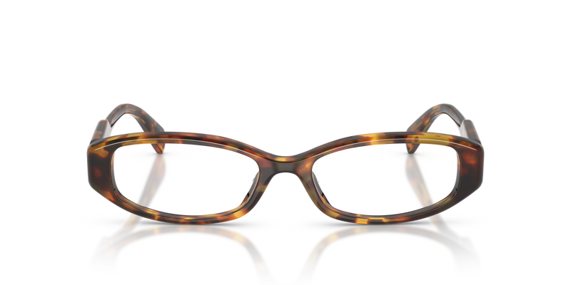 Miu Miu MU 06ZV in Honey Havana - Alternate View