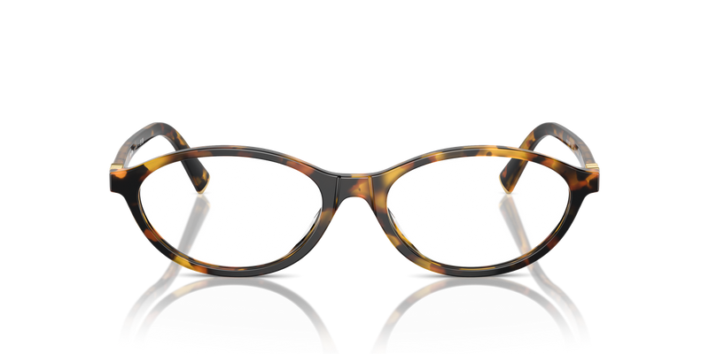 Miu Miu MU 09XVF in Honey Havana - Alternate View