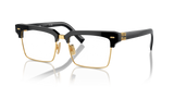 Black / Clear Blue-Violet Light Filter (1AB08N)