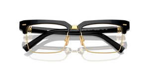 Black / Clear Blue-Violet Light Filter (1AB08N)