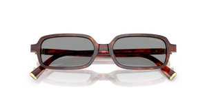 Havana Mahogany / Grey (21C40O)