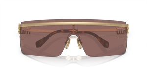 Pale Gold / Brown Mirror Internal Silver (ZVN70D)