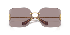 Gold / Light Purple Brown (5AK06I)