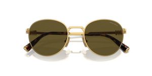 Gold / Dark Brown (5AK09Z)