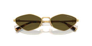 Gold / Dark Brown (5AK09Z)