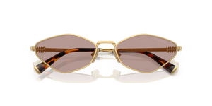 Gold / Light Purple Brown (5AK20I)