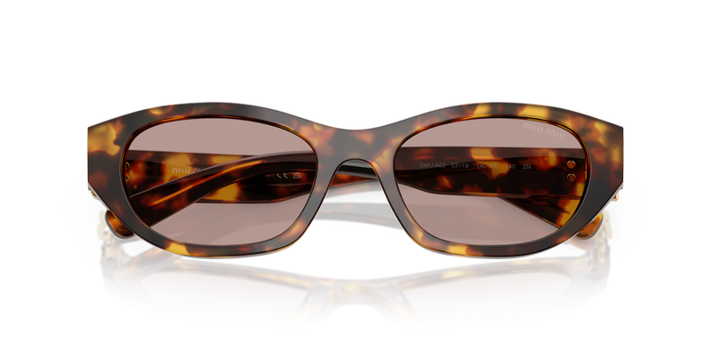 Miu Miu MU A03S in Honey Havana - Alternate View