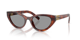 Havana Mahogany / Grey (21C40O)