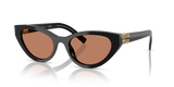 Black / Brown (16K10I)