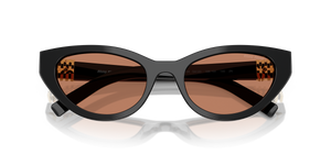 Black / Brown (16K10I)
