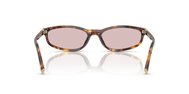 Miu Miu MU A06S in Honey Havana - Alternate View