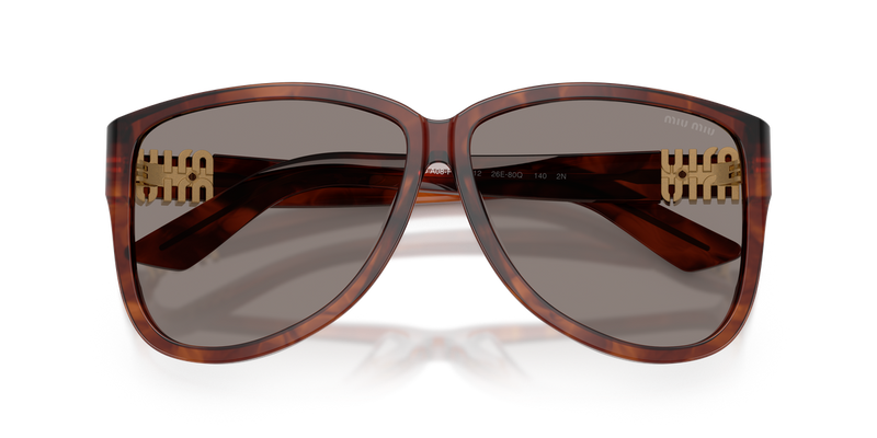 Miu Miu MU A08SF in Striped Tobacco - Alternate View