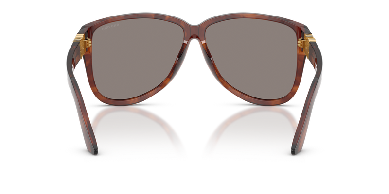 Miu Miu MU A08SF in Striped Tobacco - Alternate View