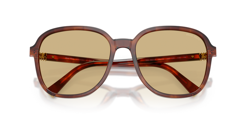 Miu Miu MU B01SF in Striped Tobacco - Alternate View