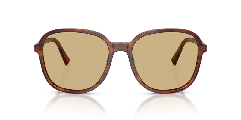 Miu Miu MU B01SF in Striped Tobacco - Alternate View