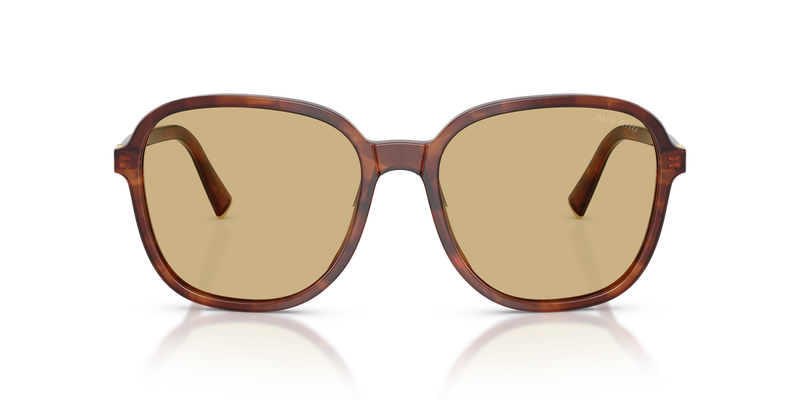 Miu Miu MU B01S in Striped Tobacco - Alternate View
