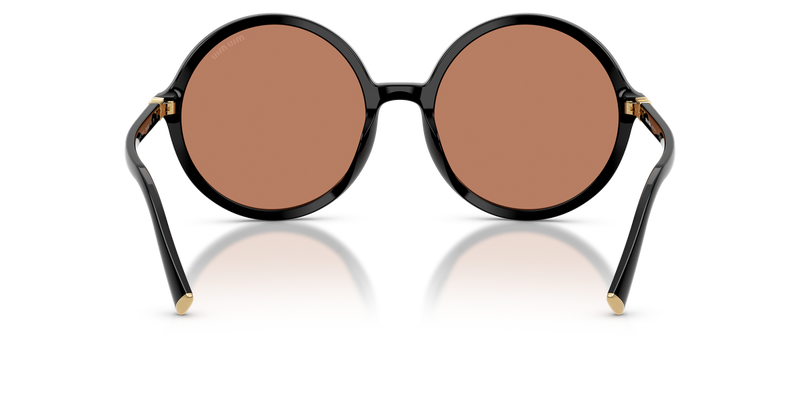 Miu Miu MU B02S in Black - Temple Detail