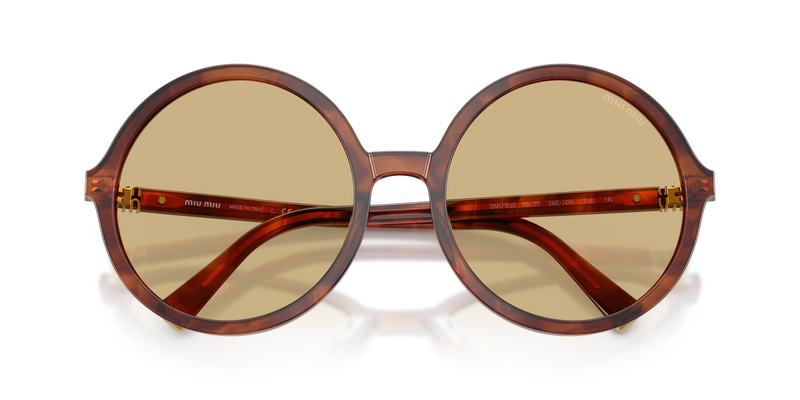 Miu Miu MU B02S in Striped Tobacco - Alternate View