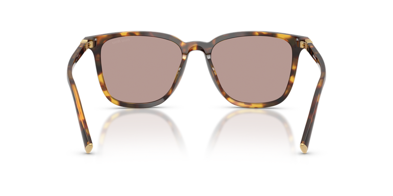 Miu Miu MU B03SF in Honey Havana - Temple Detail