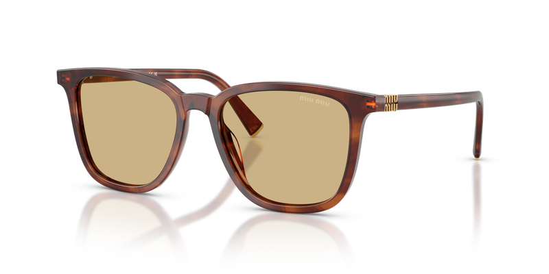 Miu Miu MU B03S in Striped Tobacco - Alternate View