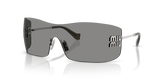 Silver / Dark Grey (1BC81A)