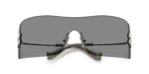 Silver / Dark Grey (1BC81A)