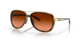 Brown Tortoise / Prizm Bronze Gradient (412918)