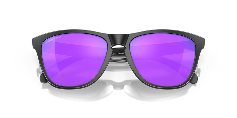 Oakley FROGSKINS in Matte Black - Alternate View