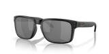 Matte Black / Prizm Black Polarized (924425)