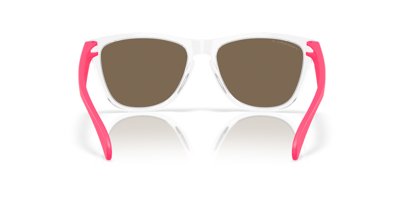 Oakley FROGSKINS (A) in Clear - Temple Detail