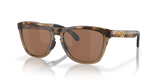 Brown Tortoise/Brown Smoke / Prizm Tungsten (928407)