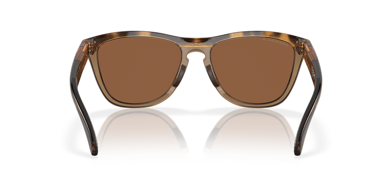 Oakley FROGSKINS RANGE in Brown Tortoise/Brown Smoke / Prizm Tungsten Polarized (928407) - Alternate View