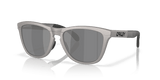 Titanium / Prizm Black Polarized (928423)