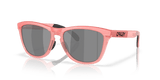 Muted Metallic Paloma / Prizm Black Polarized (928424)