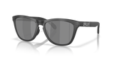 Matte Tortoise Grey Smoke/Matte Black / Prizm Black Polarized (950308)