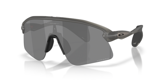 Oakley STUNT DEVIL S - Grey Smoke / Prizm Black (951801)