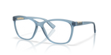 Matte Transparent Abyss / Demo Lens (815512)
